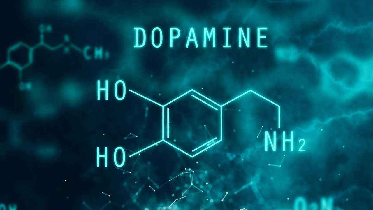 Dopamin Nedir? Dopamin Ne Işe Yarar? - Kuzey Ekspres